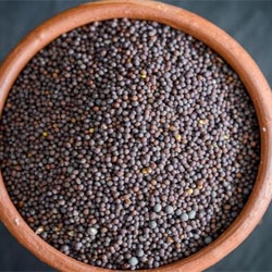 Mustard Seeds