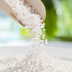 Sabudana Seeds